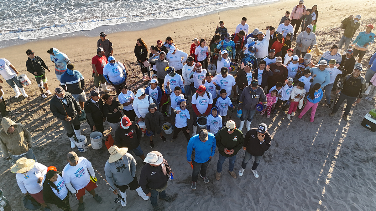 Aerial photo of the entire group
